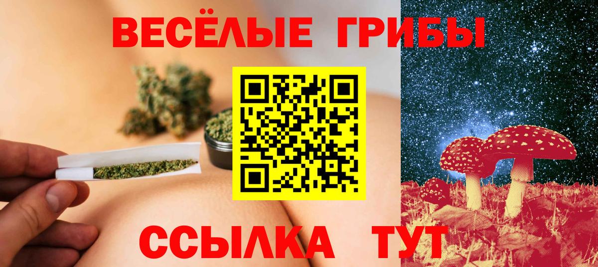 Галлюциногенные грибы Magic Shrooms  Вход с VPN  Сердобск 