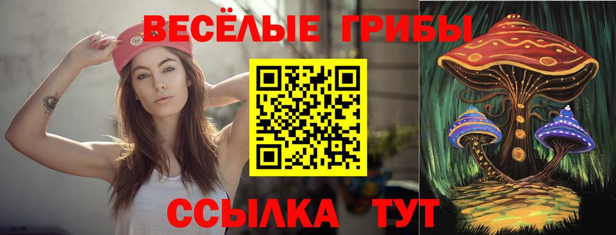 Псилоцибиновые грибы прущие грибы Сердобск